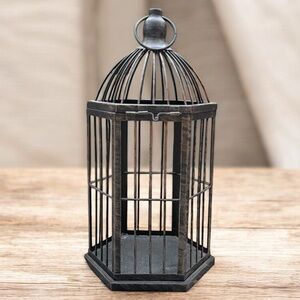 Decorative Birdcage Home Decor Brushed Metal Hallmark